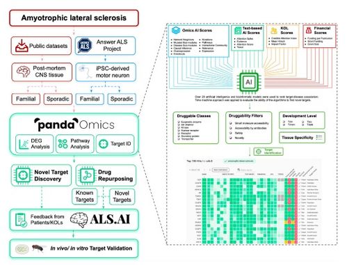 智能融合與基礎創新 人工智能與電工電子技術的協同發展之路